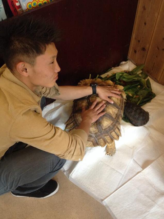 Illustration for article titled A Look Inside Japan's Reptile Cafes